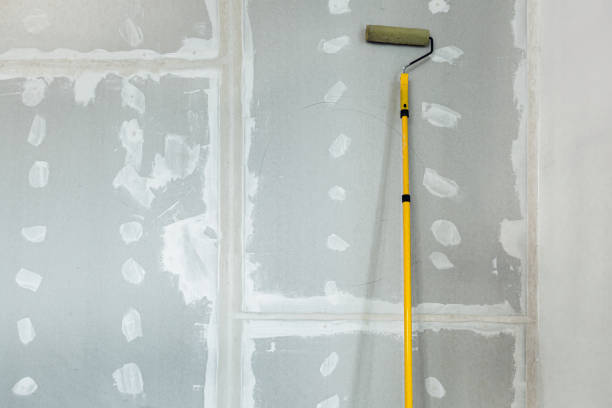 Best Airborne Mold Testing  in Springboro, OH