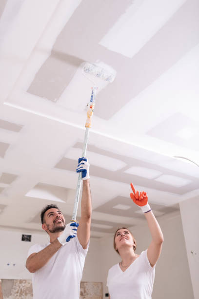 Best Black Mold Removal  in Springboro, OH