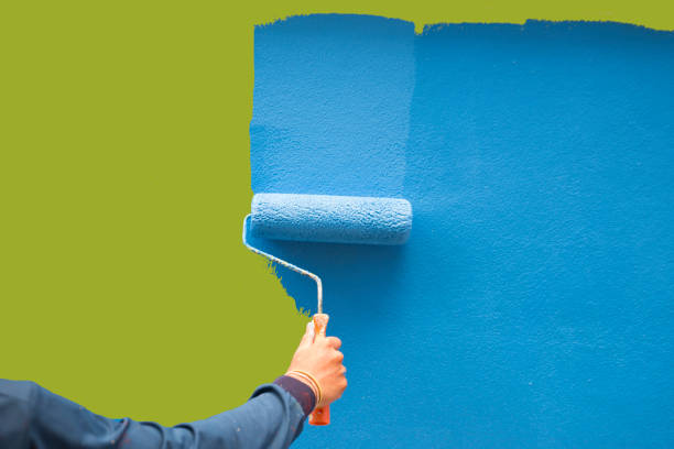 Best Post-Construction Mold Inspection  in Springboro, OH