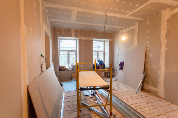 Best Crawl Space Mold Remediation  in Springboro, OH